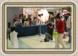 Kids Fair 012